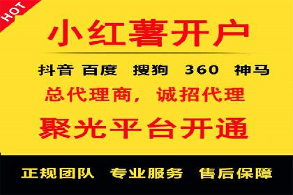 成功案例：专业SEM托管服务助力企业抢占行业制高点